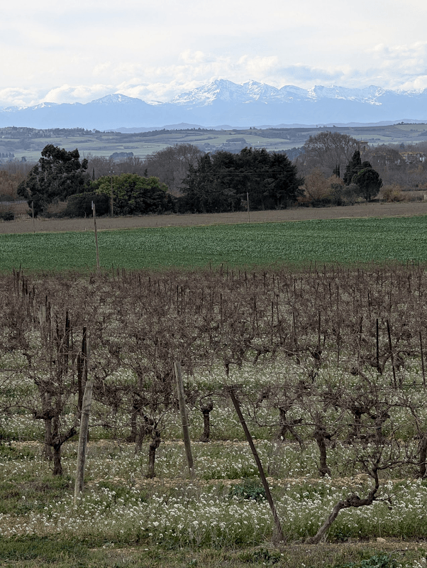 mon annee sportive 2025 96