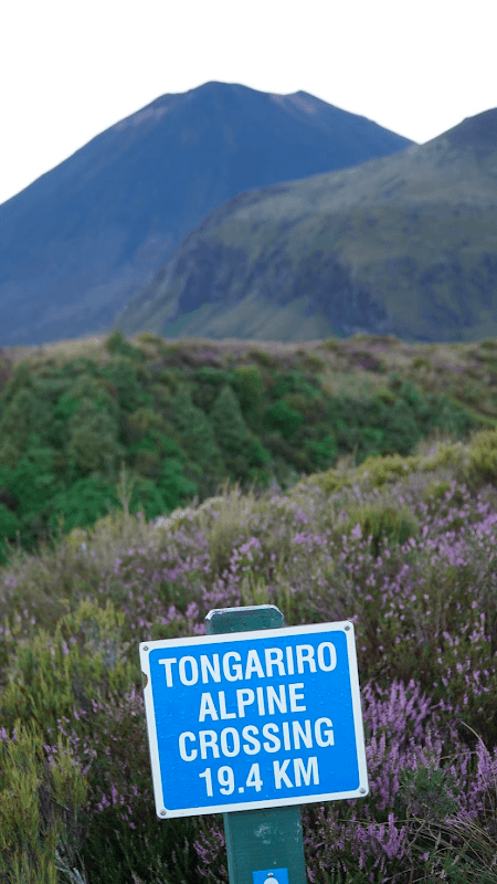 mon voyage en nouvelle zelande 35