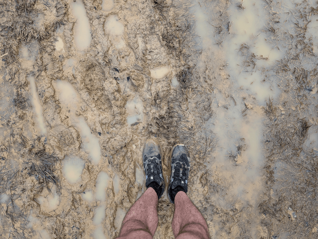 mon annee sportive 2025 16