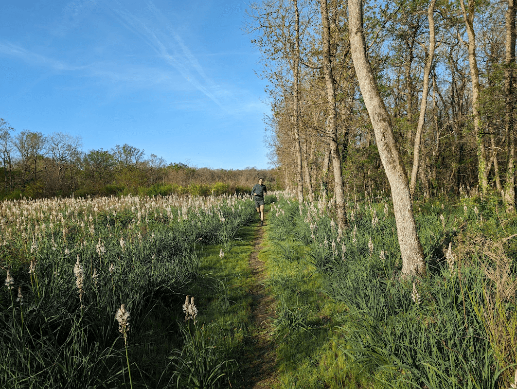 mon annee sportive 2024 53