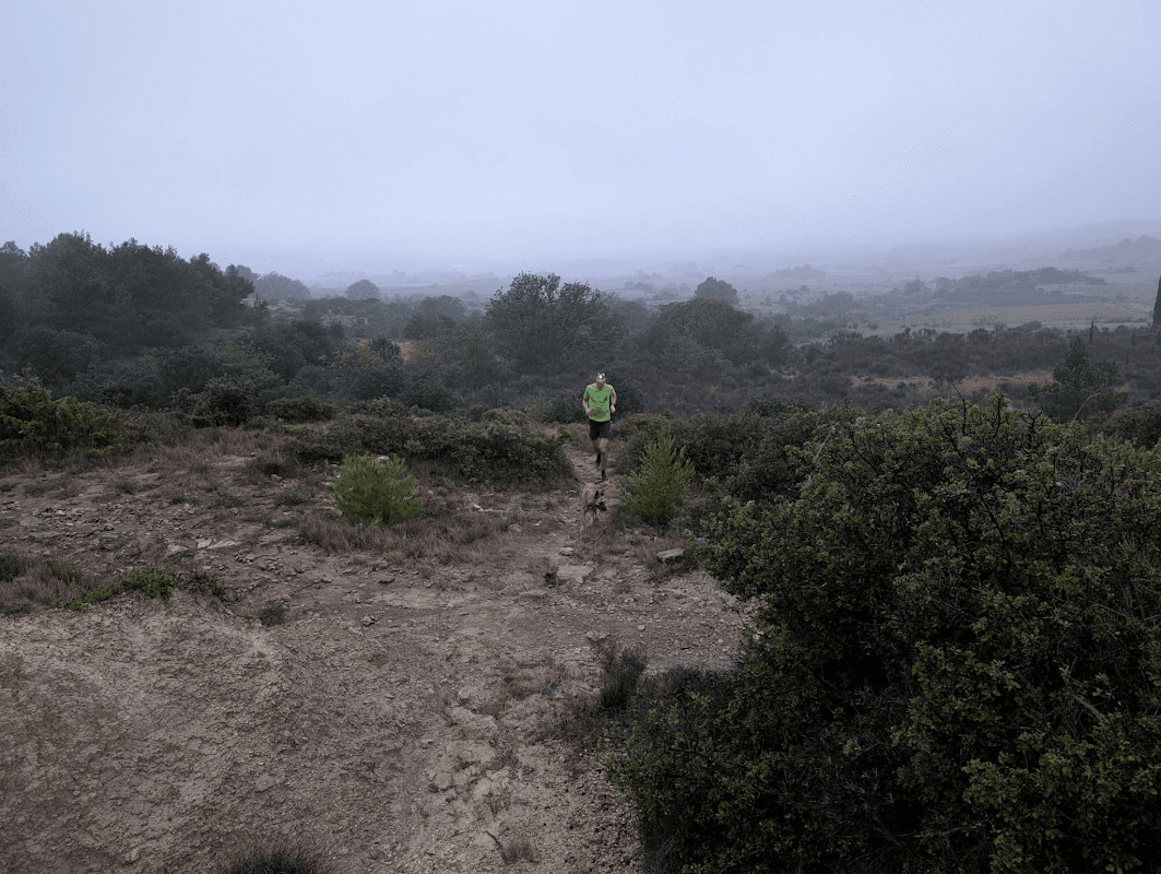 mon annee sportive 2024 128