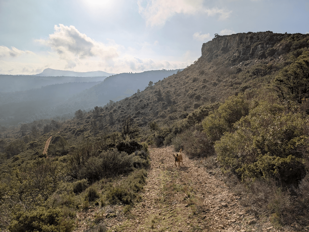 mon annee sportive 2025 10