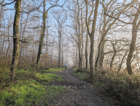 mon annee sportive 2024 22