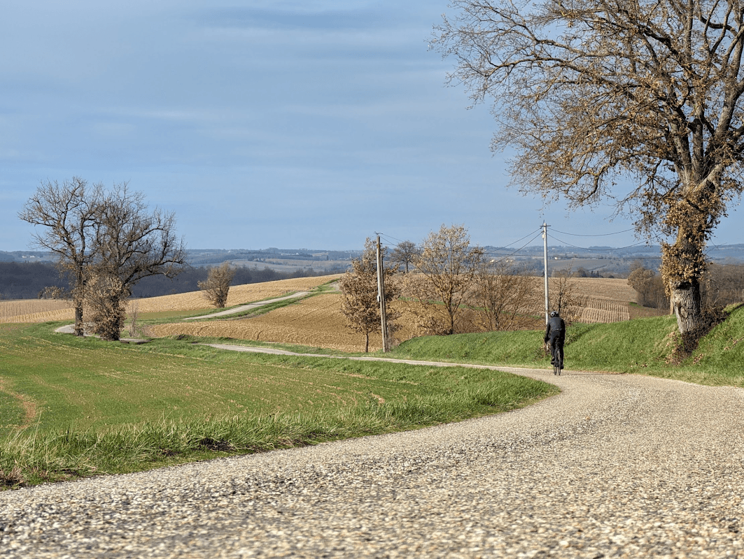 mon annee sportive 2024 13