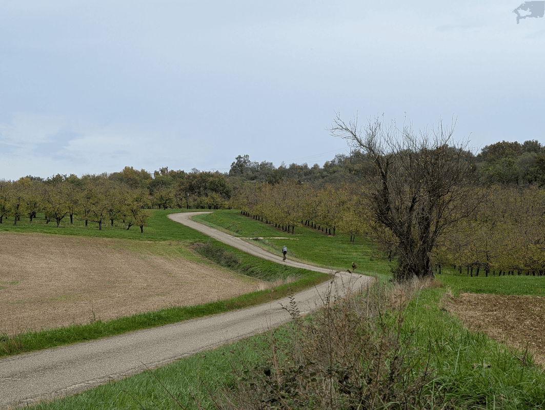 mon annee sportive 2025 84