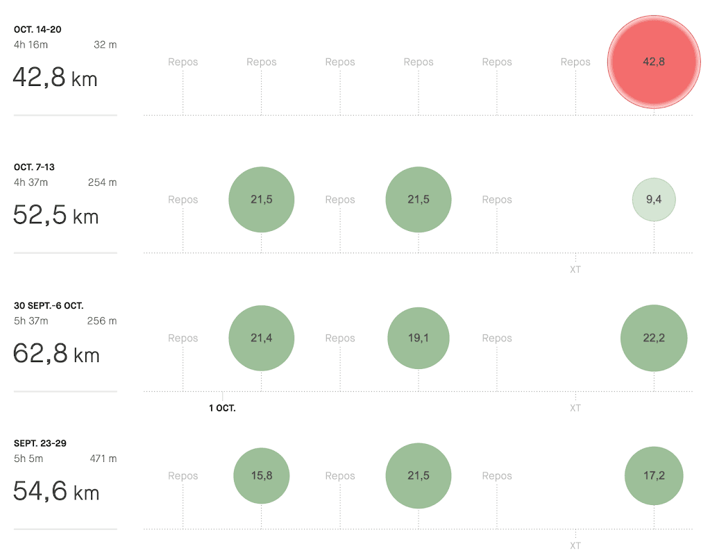 mon annee sportive 2019 4