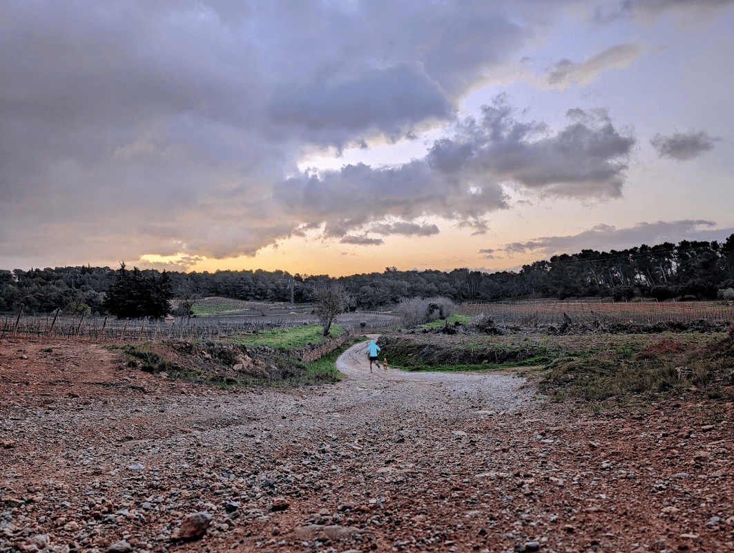 mon annee sportive 2024 145