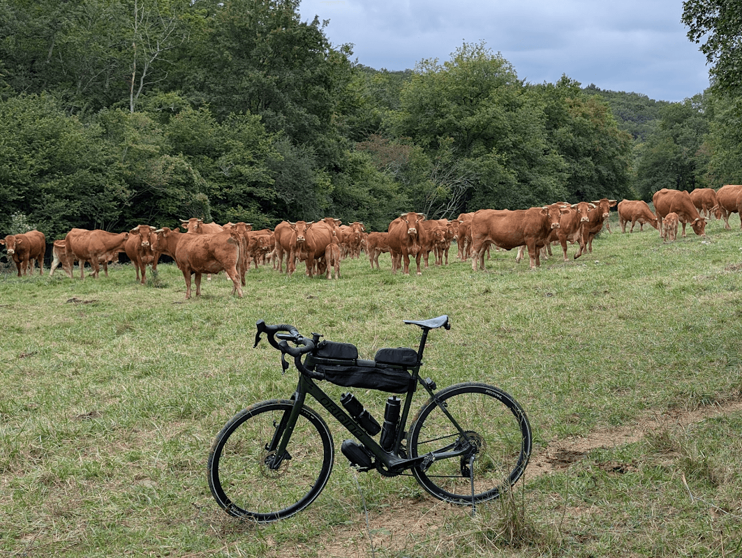 mon annee sportive 2025 70