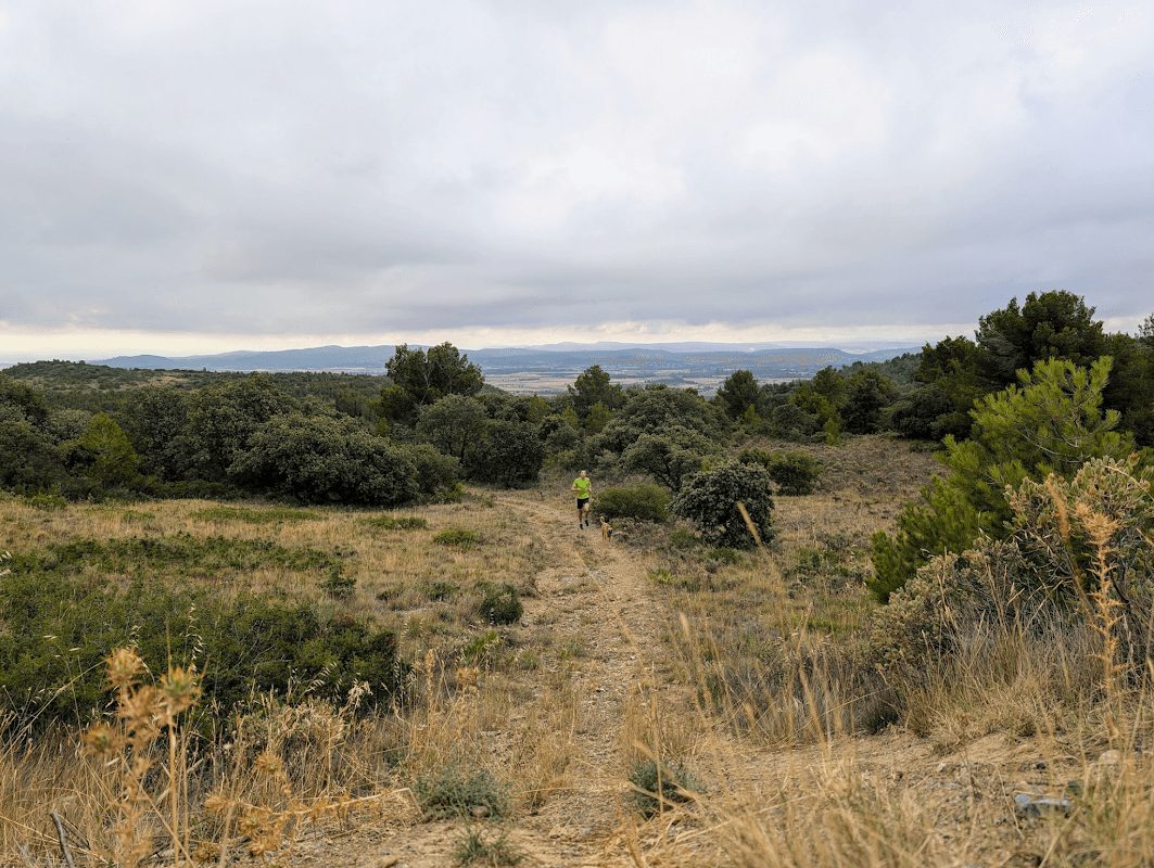 mon annee sportive 2024 86