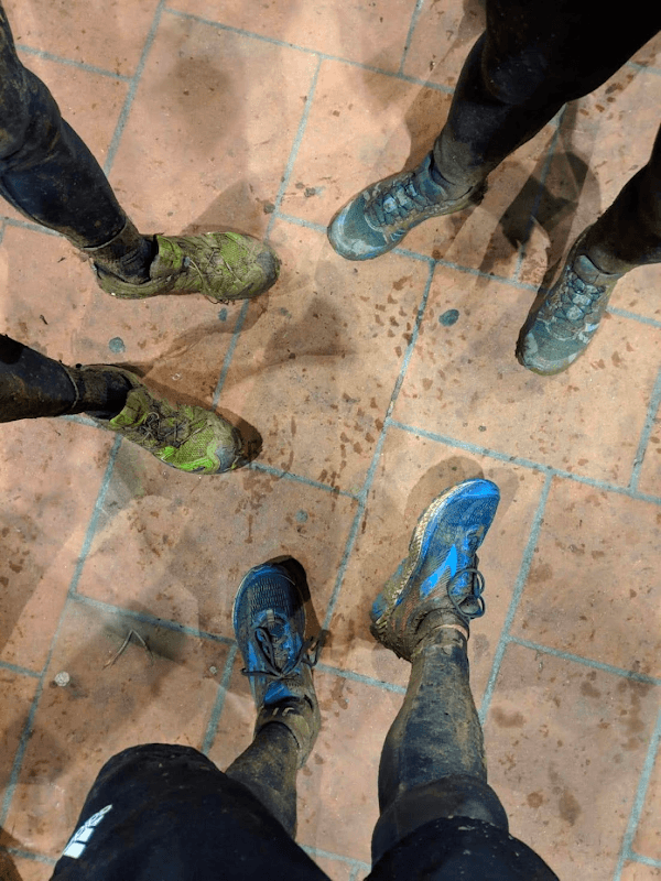 forest trail 2019 5