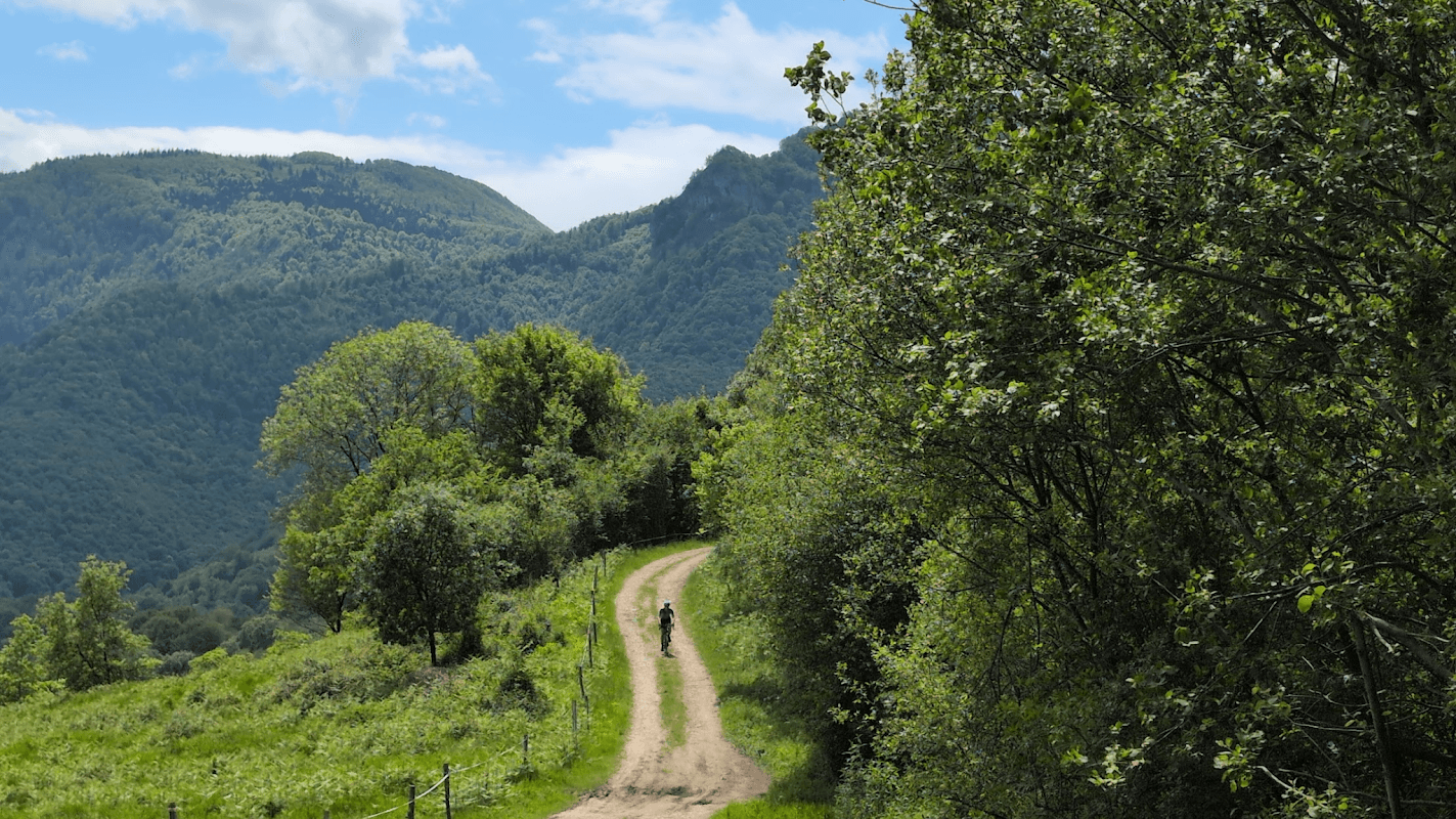 mon annee sportive 2025 44