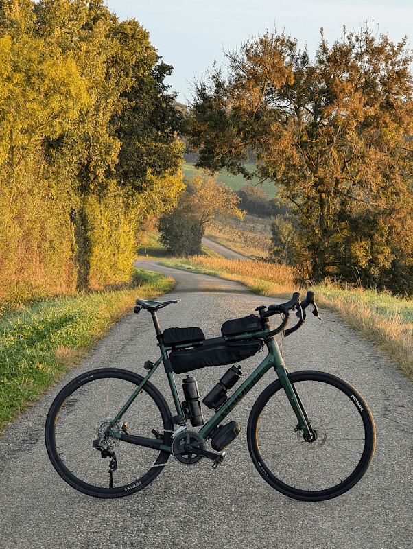 mon annee sportive 2024 125