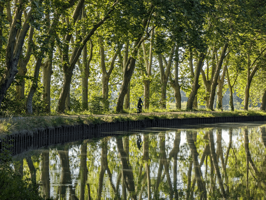 mon annee sportive 2024 66