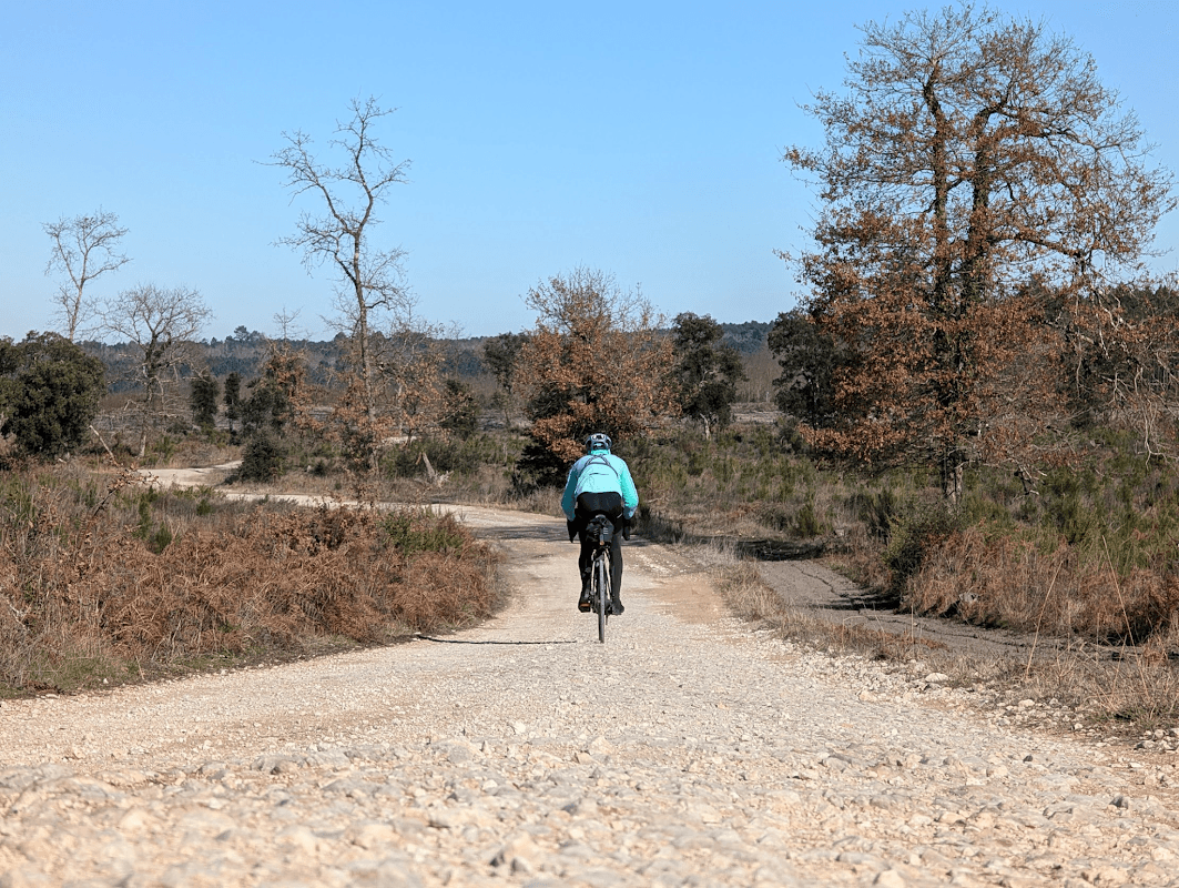 mon annee sportive 2025 8