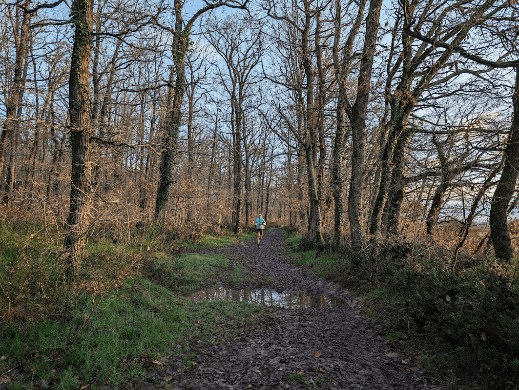 mon annee sportive 2024 7