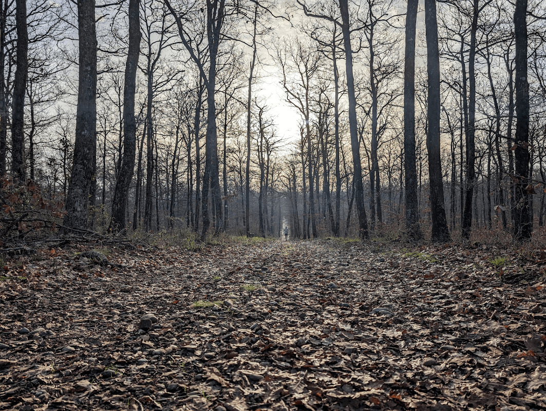 mon annee sportive 2024 21