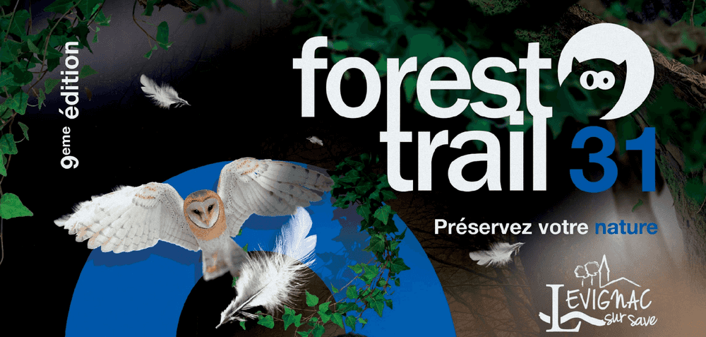 Forest Trail 2019