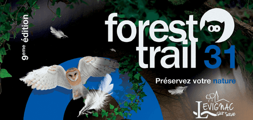 Forest Trail 2019