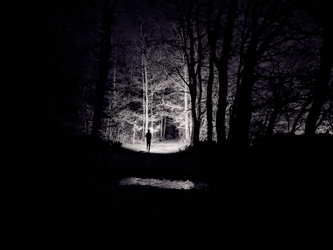 mon annee sportive 2024 8