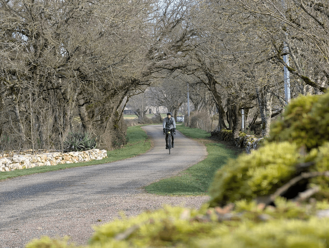 mon annee sportive 2025 100