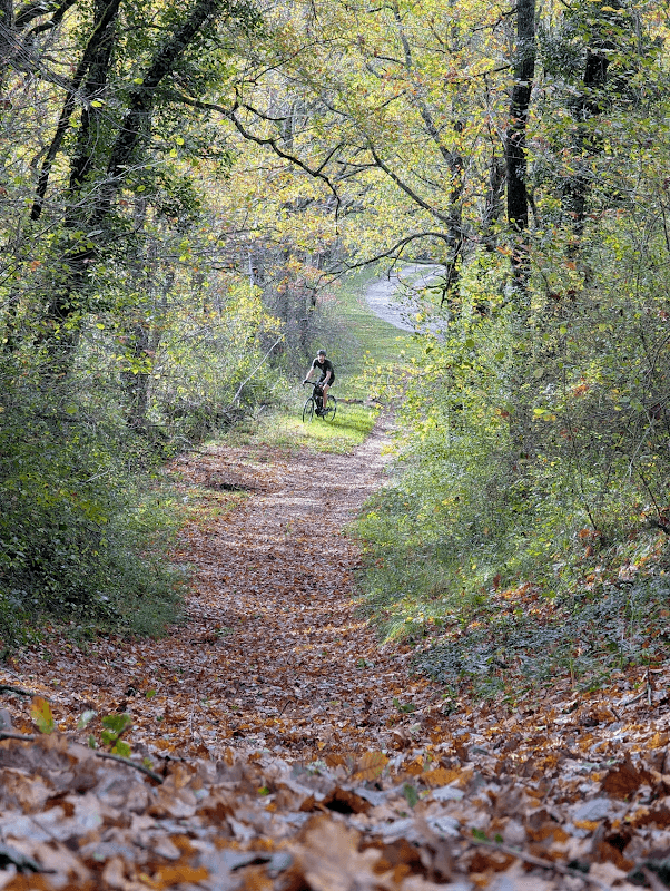 mon annee sportive 2025 87