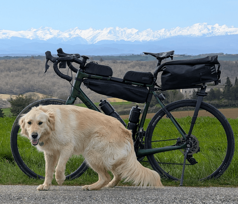 mon annee sportive 2025 28