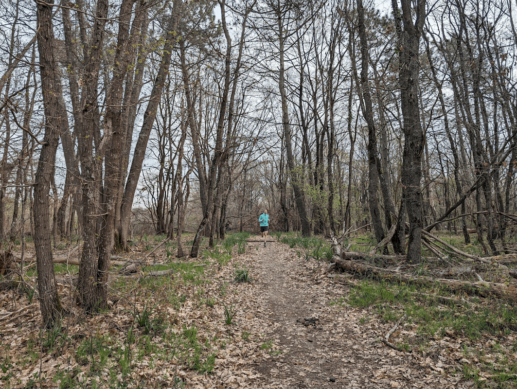 mon annee sportive 2024 45