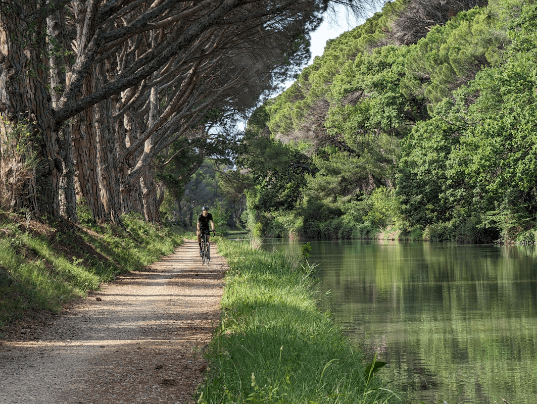 mon annee sportive 2024 71