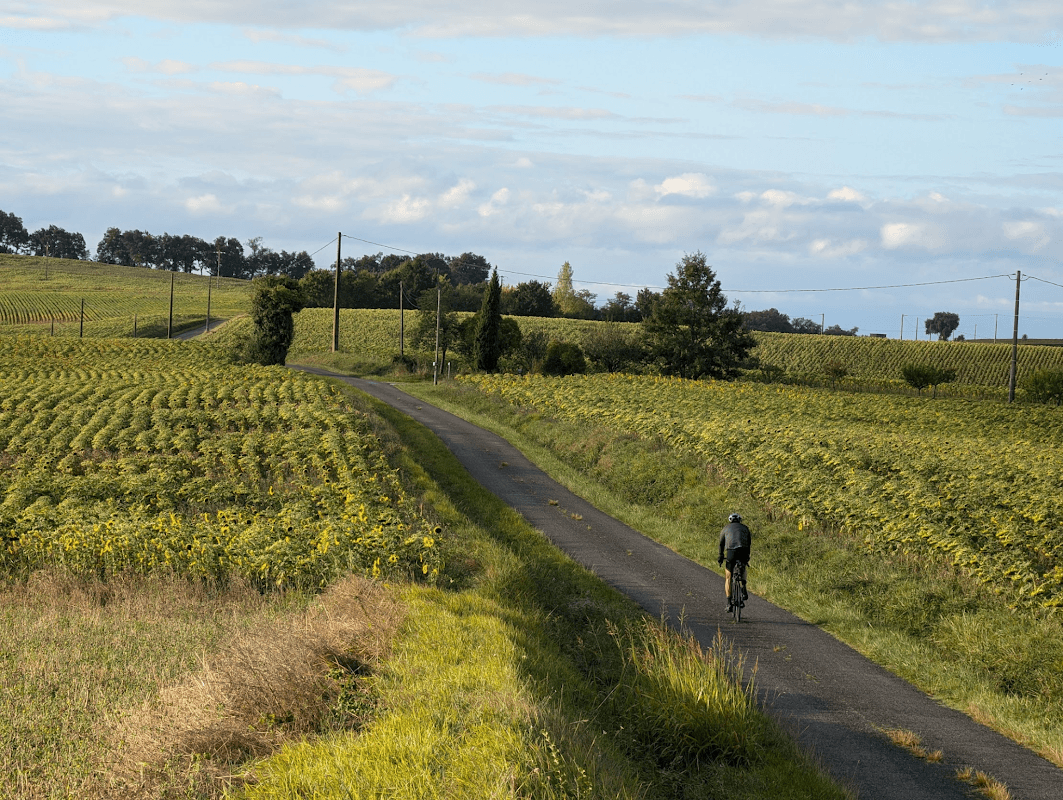 mon annee sportive 2024 104