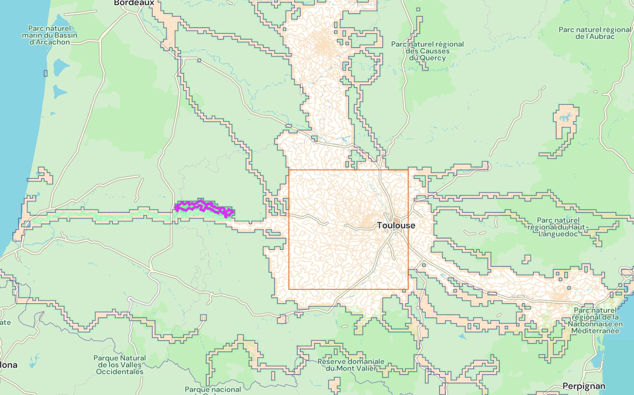 mon annee sportive 2024 135