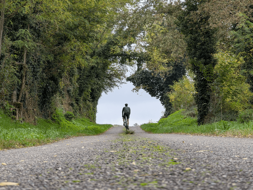 mon annee sportive 2024 132