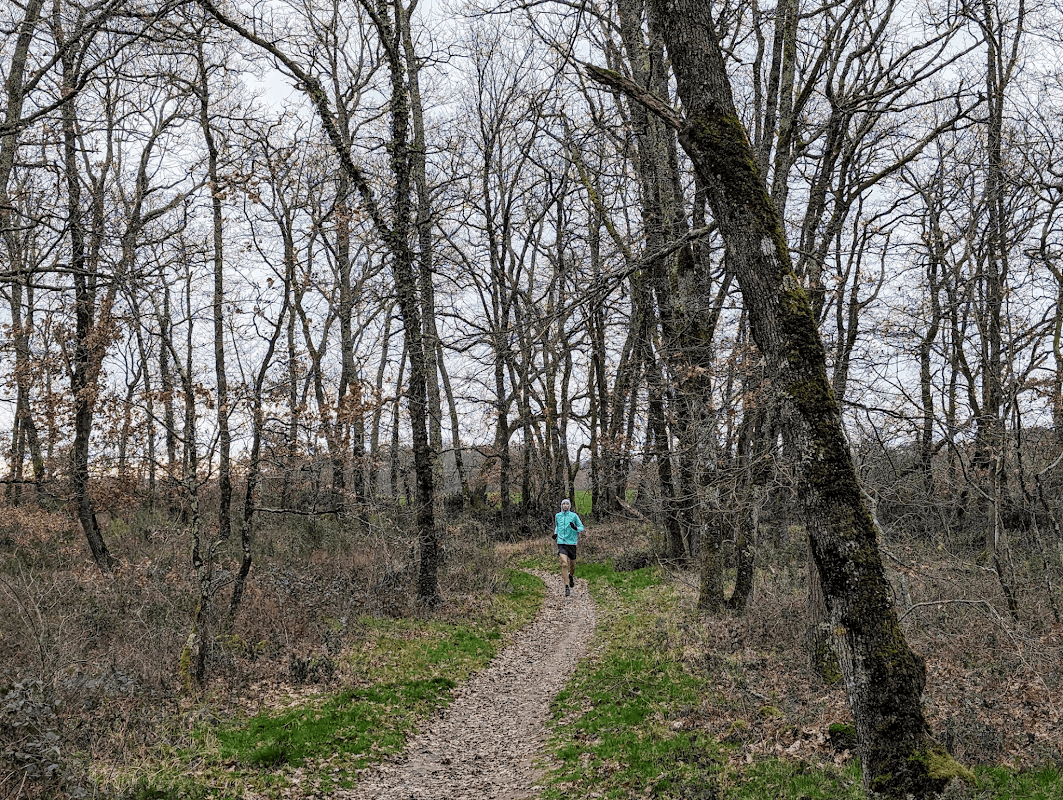 mon annee sportive 2024 24