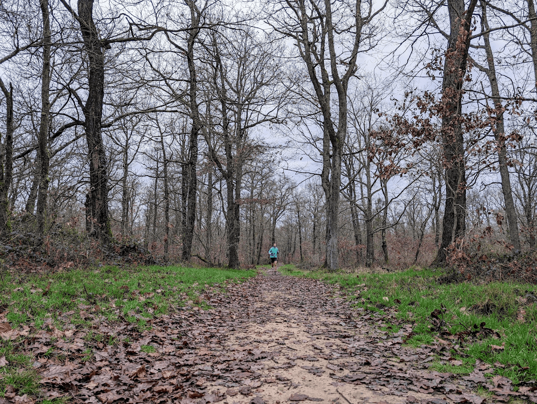 mon annee sportive 2024 4