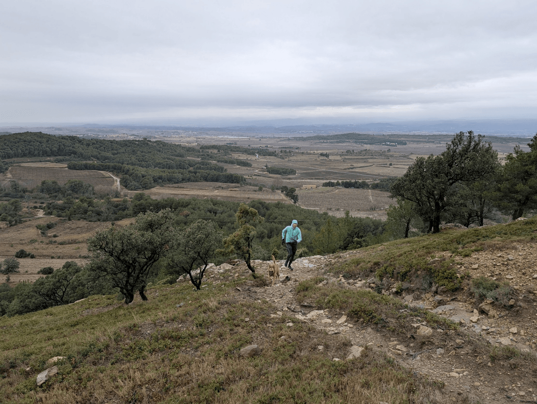 mon annee sportive 2025 99