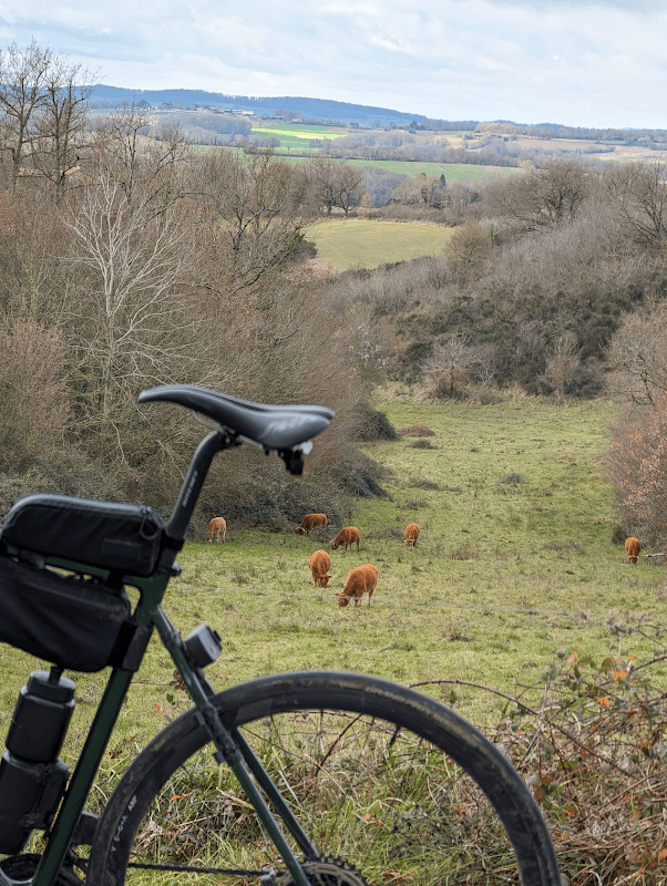 mon annee sportive 2024 10