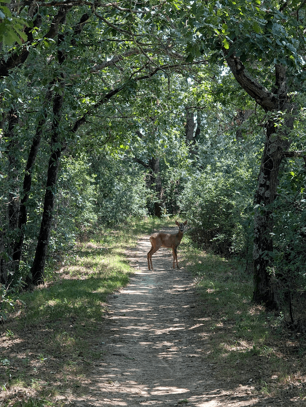 mon annee sportive 2025 55