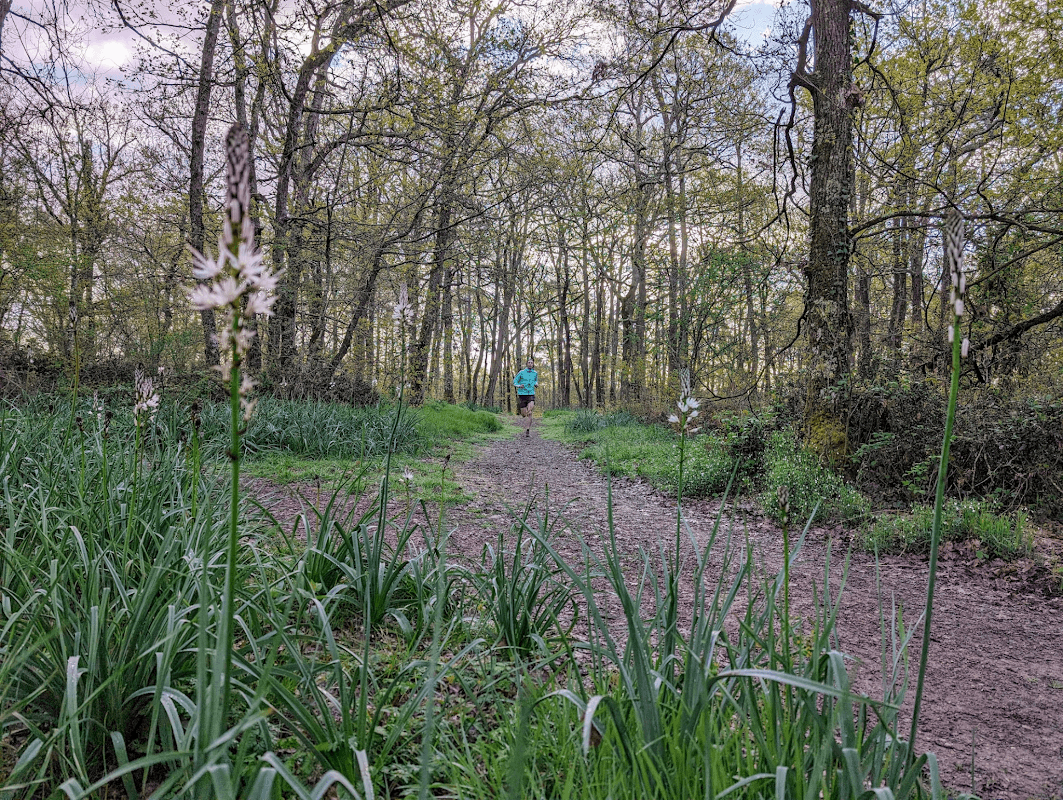 mon annee sportive 2024 47