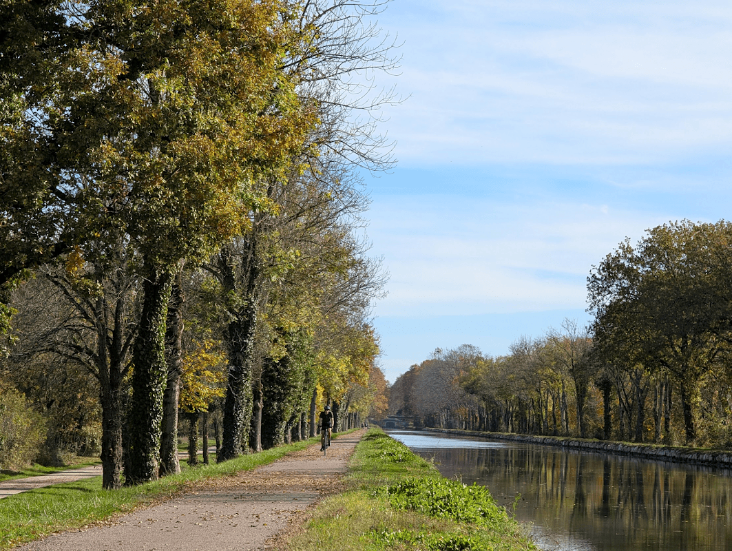 mon annee sportive 2025 86