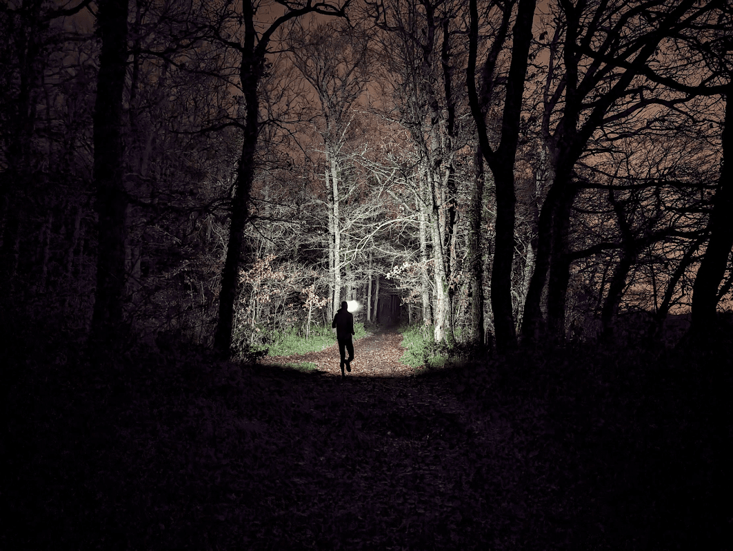 mon annee sportive 2024 5