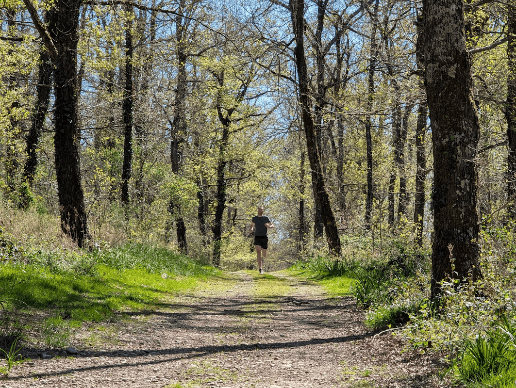 mon annee sportive 2025 29