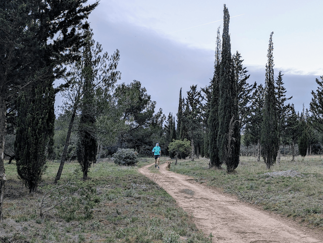 mon annee sportive 2024 146