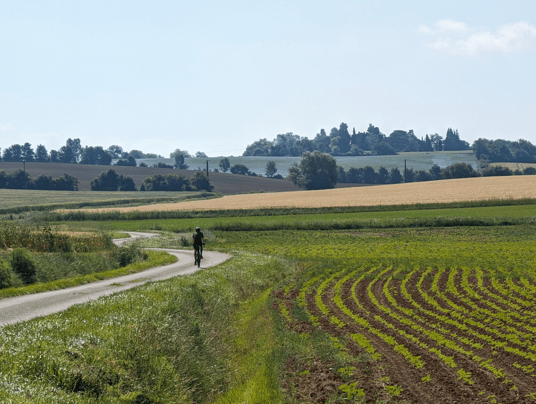 mon annee sportive 2024 67