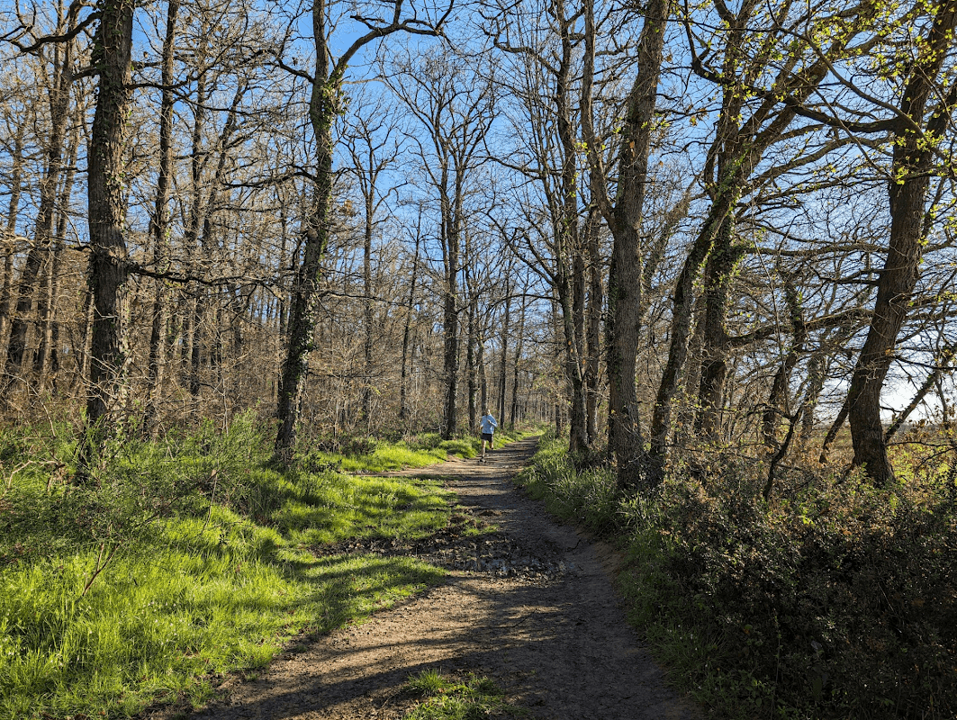 mon annee sportive 2024 44