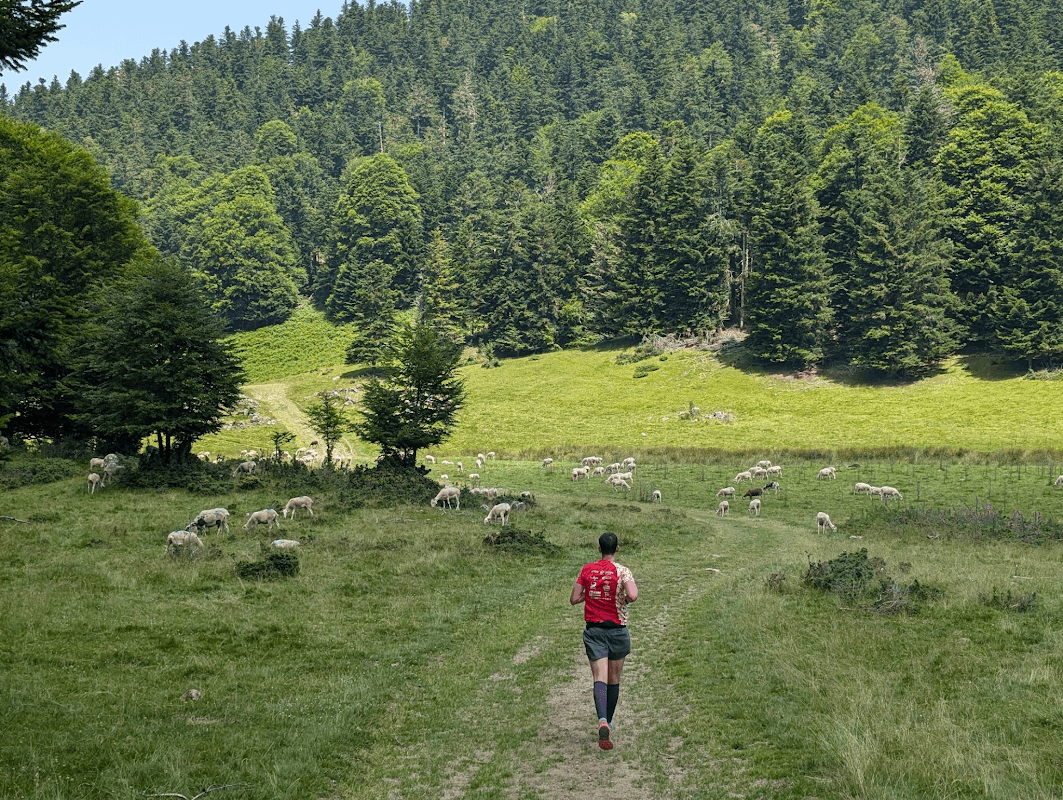 mon annee sportive 2024 82