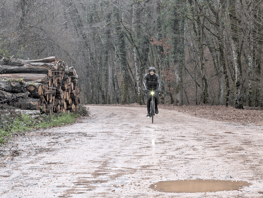 mon annee sportive 2025 94