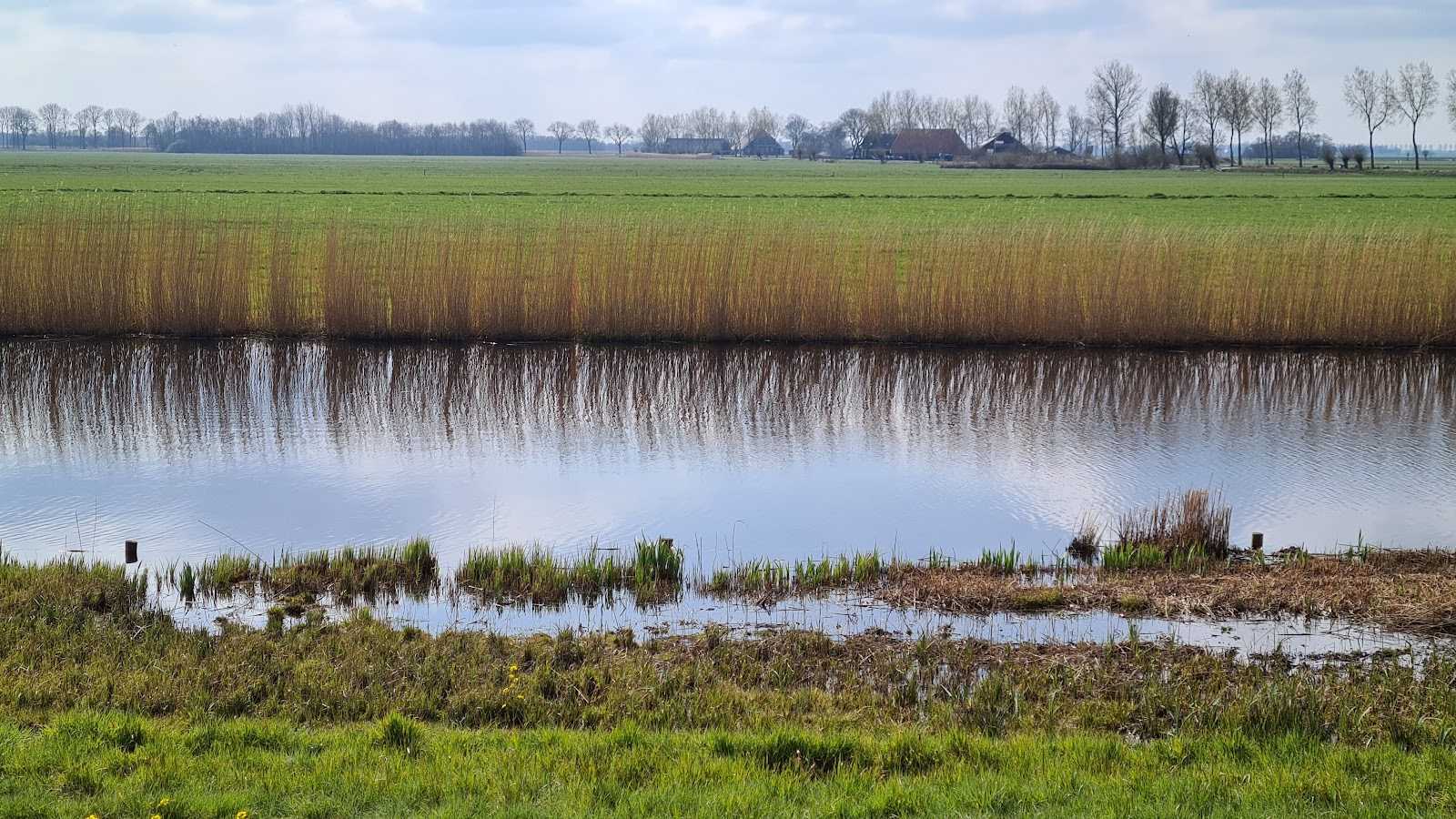 netherlands photo AEeRUxh6ukiiUVc76ICRi1qED77DZQRdOuDTIATmLq72qtxviaBRtzU14QllqRcW2Zoa1eldSq3wcgPXIKxwOI-Rq6uobQMZuA