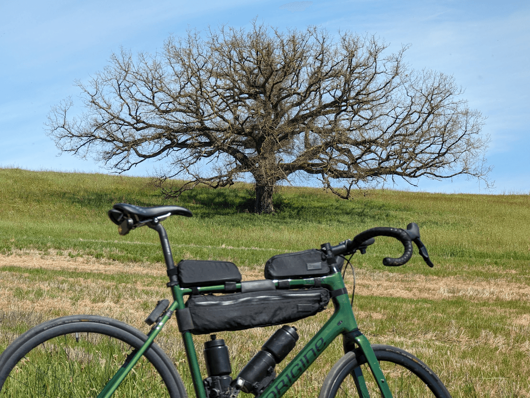 mon annee sportive 2024 54