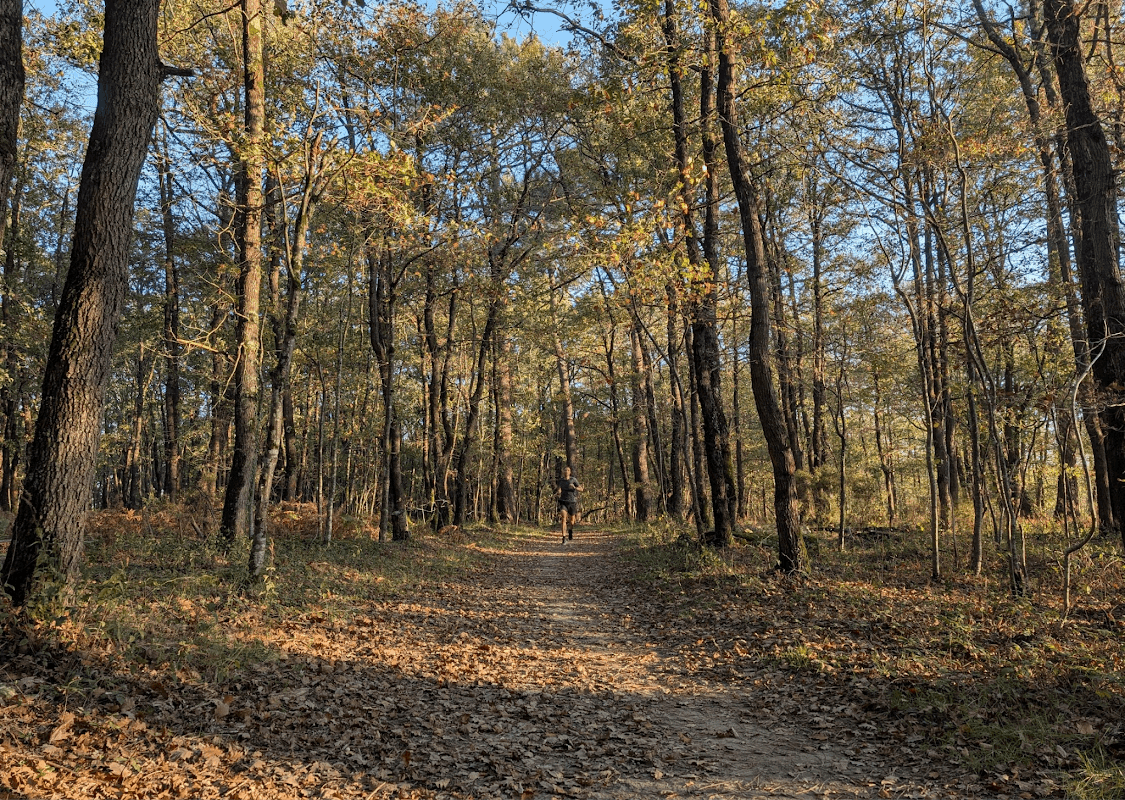 mon annee sportive 2024 133