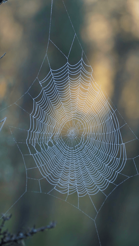 mon voyage en nouvelle zelande 70