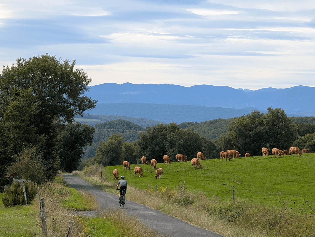 mon annee sportive 2024 113